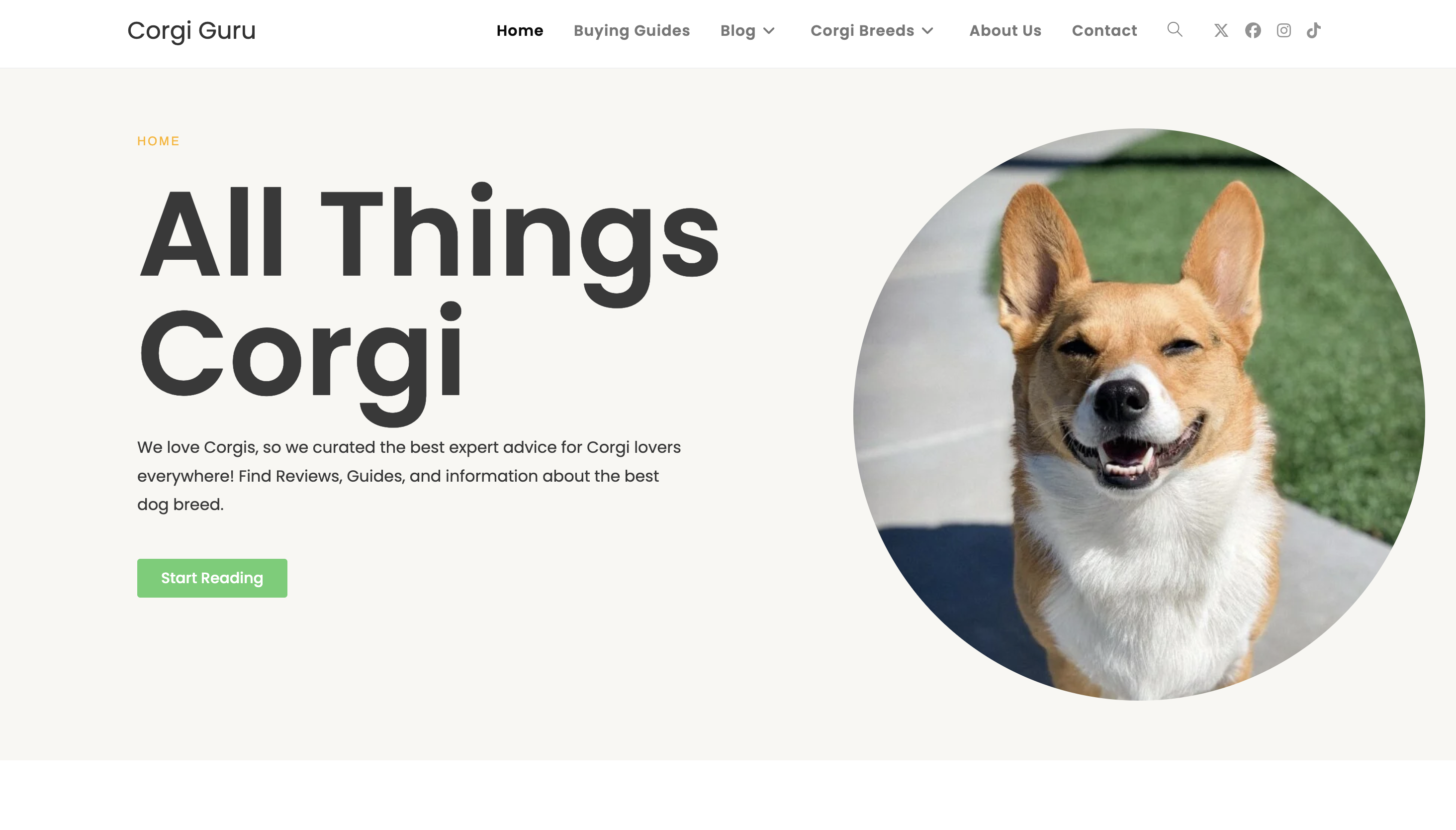 Corgi Guru